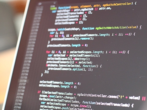 システム開発者